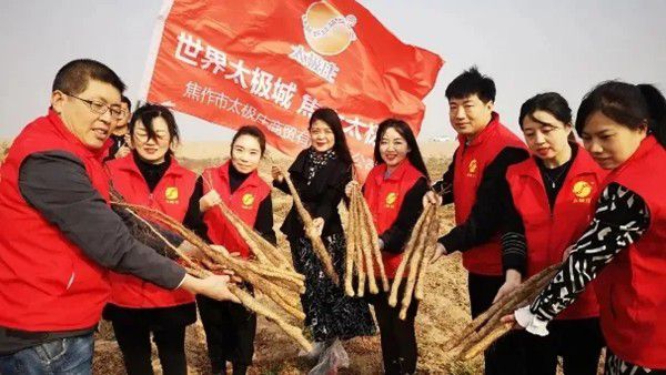 鐵棍山藥規(guī)?；?、標(biāo)準(zhǔn)化種植